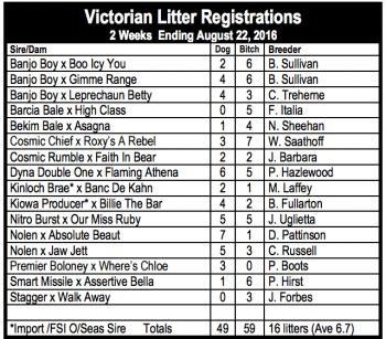 Victorian litter registrations