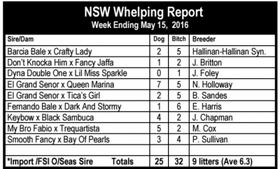 NSW Litter Report